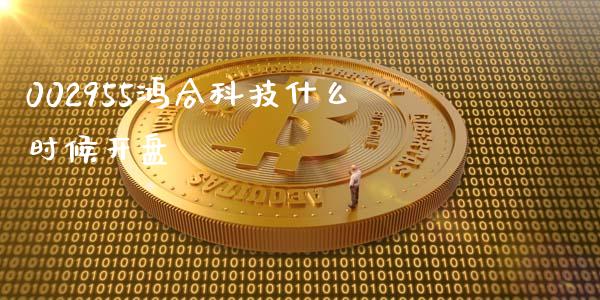 002955鸿合科技什么时候开盘_https://wap.hpmsj.cn_金融机构_第1张