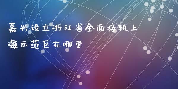 嘉兴设立浙江省全面接轨上海示范区在哪里_https://wap.hpmsj.cn_基金分析_第1张