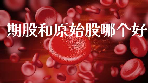 期股和原始股哪个好_https://wap.hpmsj.cn_外汇汇率_第1张