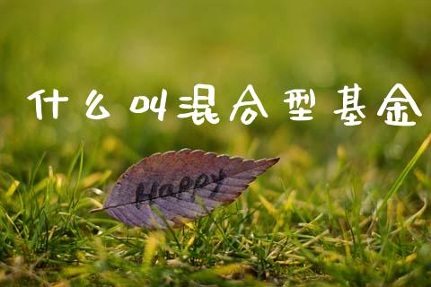 什么叫混合型基金_https://wap.hpmsj.cn_期货交易_第1张