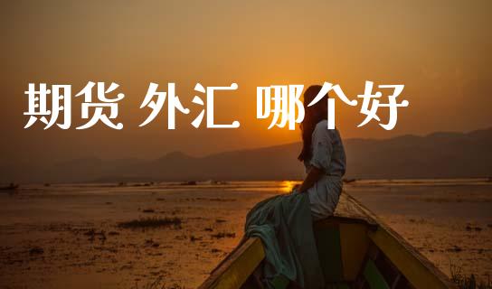 期货 外汇 哪个好_https://wap.hpmsj.cn_金融机构_第1张