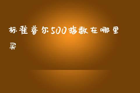 标准普尔500指数在哪里买_https://wap.hpmsj.cn_基金分析_第1张