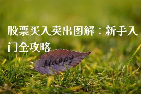 股票买入卖出图解:新手入门全攻略_外汇汇率_第1张_财经时评_基金分析_期货交易_金融机构_外汇汇率_债券投资 股票买入卖出图解:新手入门全攻略_https://wap.hpmsj.cn_外汇汇率_第1张