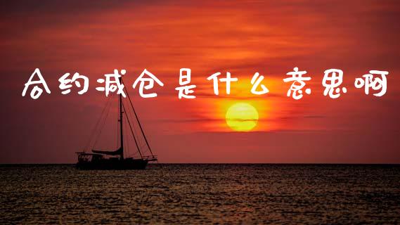 合约减仓是什么意思啊_https://wap.hpmsj.cn_财经时评_第1张