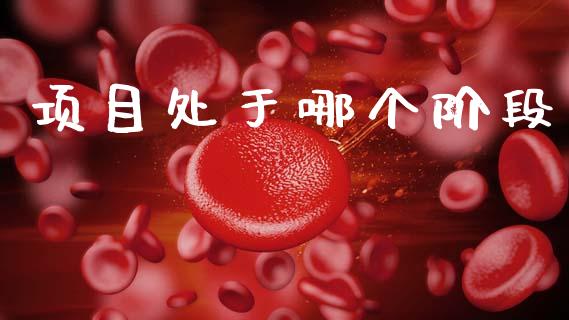 项目处于哪个阶段_https://wap.hpmsj.cn_期货交易_第1张