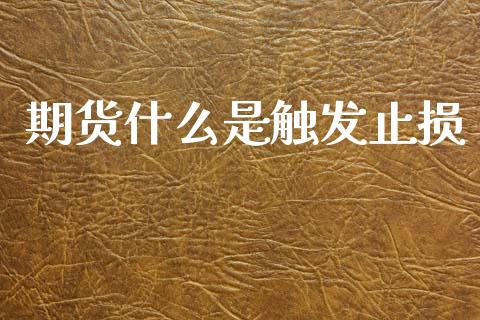 期货什么是触发止损_财经时评_第1张_财经时评_基金分析_期货交易_金融机构_外汇汇率_债券投资 期货什么是触发止损_https://wap.hpmsj.cn_财经时评_第1张