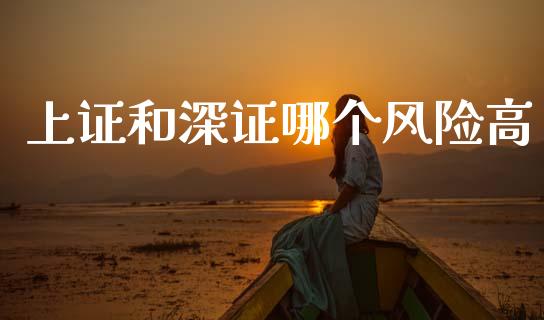 上证和深证哪个风险高_https://wap.hpmsj.cn_财经时评_第1张