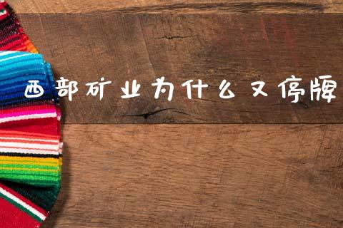 西部矿业为什么又停牌_https://wap.hpmsj.cn_外汇汇率_第1张