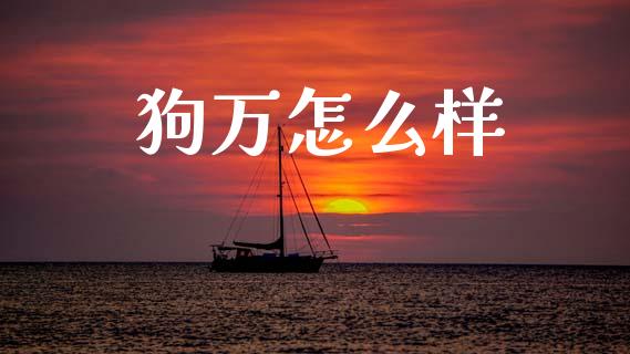 狗万怎么样_https://wap.hpmsj.cn_债券投资_第1张
