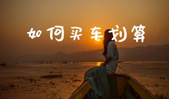 如何买车划算_https://wap.hpmsj.cn_期货交易_第1张