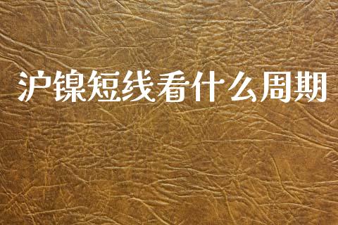 沪镍短线看什么周期_https://wap.hpmsj.cn_金融机构_第1张
