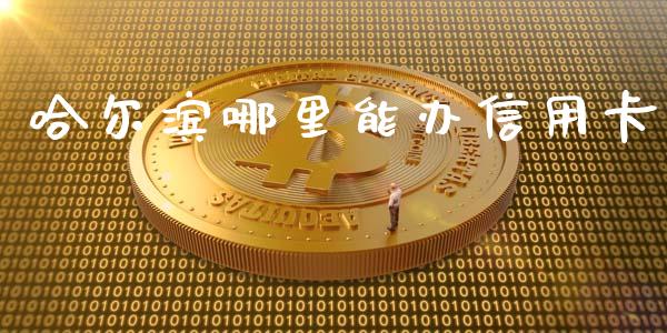 哈尔滨哪里能办信用卡_https://wap.hpmsj.cn_基金分析_第1张