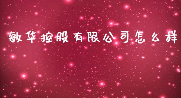 敏华控股有限公司怎么样_https://wap.hpmsj.cn_债券投资_第1张