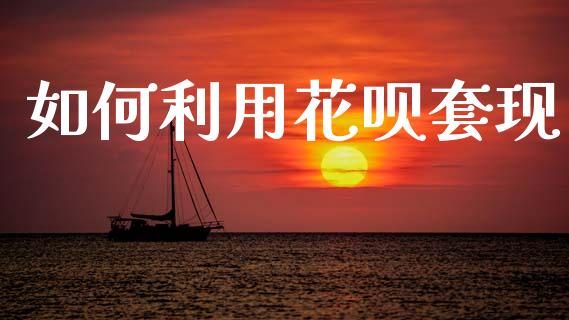 如何利用花呗套现_https://wap.hpmsj.cn_财经时评_第1张