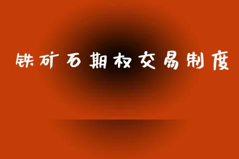 铁矿石期权交易制度_https://wap.hpmsj.cn_金融机构_第1张