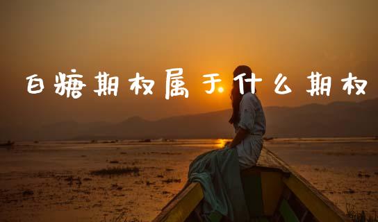 白糖期权属于什么期权_https://wap.hpmsj.cn_外汇汇率_第1张