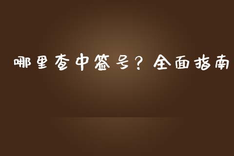 哪里查中签号？全面指南_https://wap.hpmsj.cn_外汇汇率_第1张