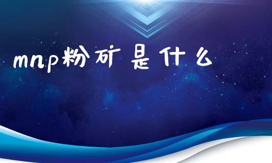 mnp粉矿是什么_https://wap.hpmsj.cn_外汇汇率_第1张
