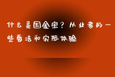 什么是国金宝？从业者的一些看法和实际体验_https://wap.hpmsj.cn_金融机构_第1张