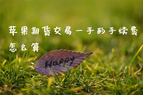 苹果期货交易一手的手续费怎么算_https://wap.hpmsj.cn_财经时评_第1张