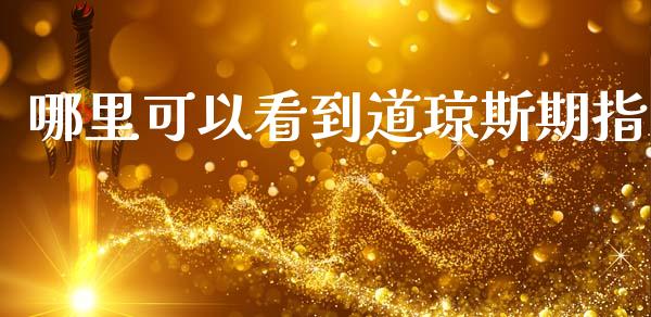 哪里可以看到道琼斯期指_https://wap.hpmsj.cn_期货交易_第1张
