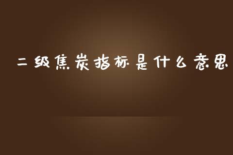 二级焦炭指标是什么意思_https://wap.hpmsj.cn_外汇汇率_第1张
