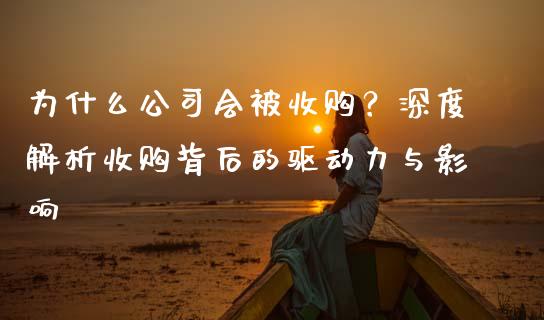 为什么公司会被收购？深度解析收购背后的驱动力与影响_https://wap.hpmsj.cn_基金分析_第1张