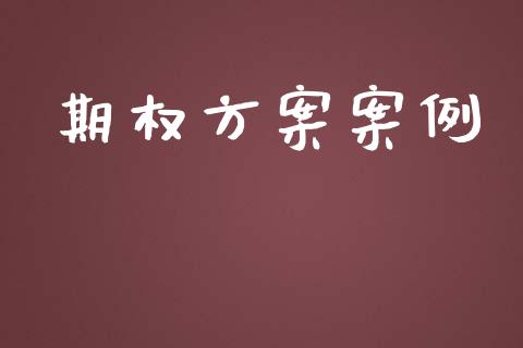 期权方案案例_https://wap.hpmsj.cn_金融机构_第1张