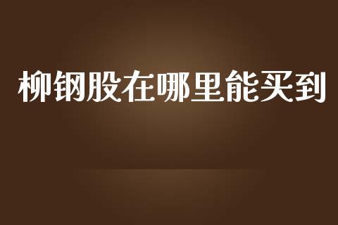 柳钢股在哪里能买到_https://wap.hpmsj.cn_基金分析_第1张