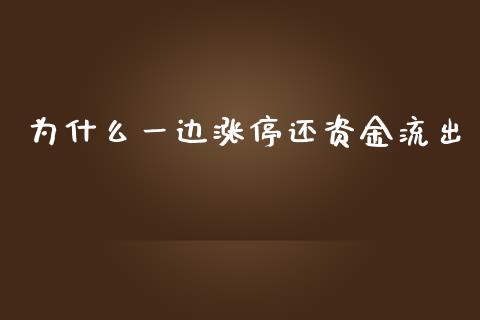 为什么一边涨停还资金流出_https://wap.hpmsj.cn_财经时评_第1张