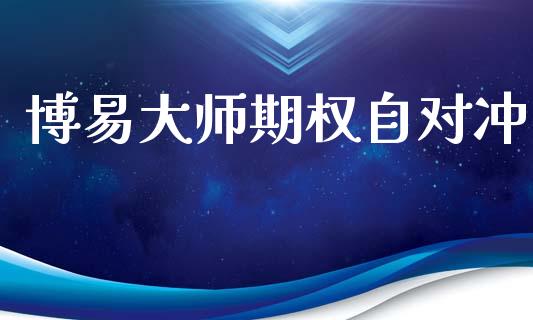 博易大师期权自对冲_https://wap.hpmsj.cn_基金分析_第1张