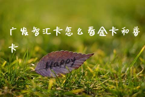 广发智汇卡怎么看金卡和普卡_https://wap.hpmsj.cn_外汇汇率_第1张