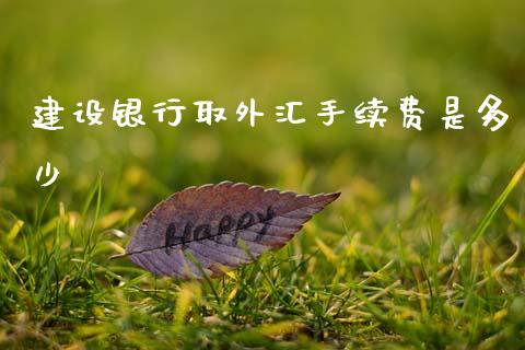 建设银行取外汇手续费是多少_https://wap.hpmsj.cn_债券投资_第1张