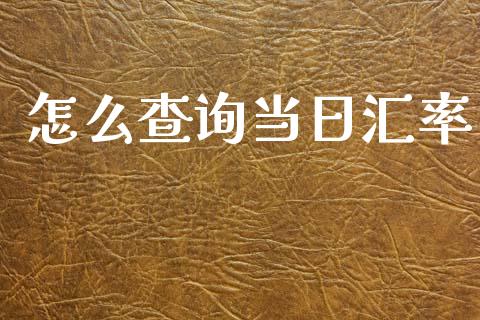 怎么查询当日汇率_https://wap.hpmsj.cn_金融机构_第1张