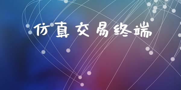 仿真交易终端_https://wap.hpmsj.cn_金融机构_第1张