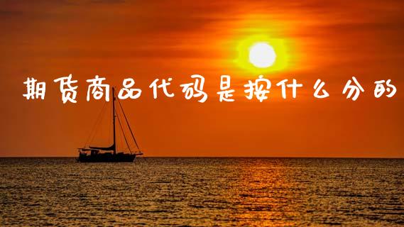 期货商品代码是按什么分的_https://wap.hpmsj.cn_金融机构_第1张
