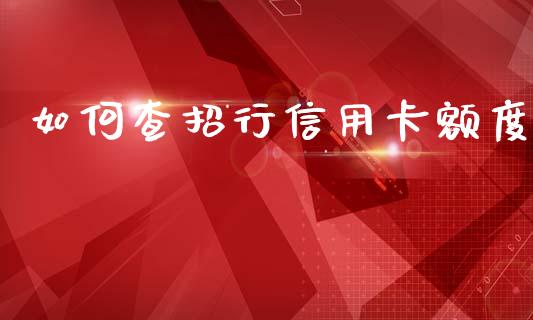 如何查招行信用卡额度_https://wap.hpmsj.cn_金融机构_第1张