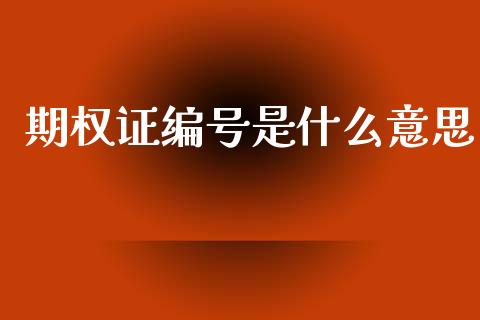 期权证编号是什么意思_https://wap.hpmsj.cn_外汇汇率_第1张