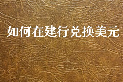 如何在建行兑换美元_https://wap.hpmsj.cn_基金分析_第1张
