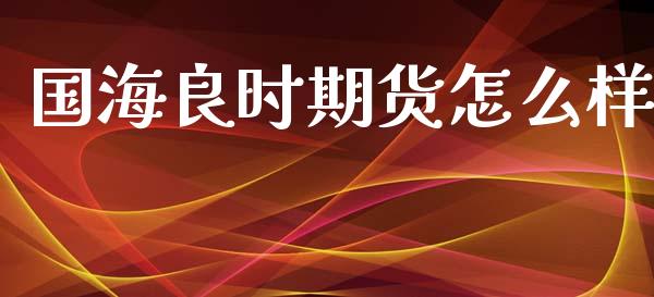 国海良时期货怎么样_https://wap.hpmsj.cn_金融机构_第1张