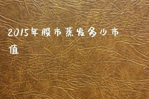 2015年股市蒸发多少市值_https://wap.hpmsj.cn_外汇汇率_第1张