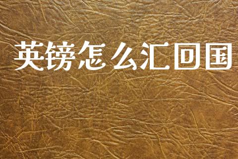 英镑怎么汇回国_https://wap.hpmsj.cn_基金分析_第1张