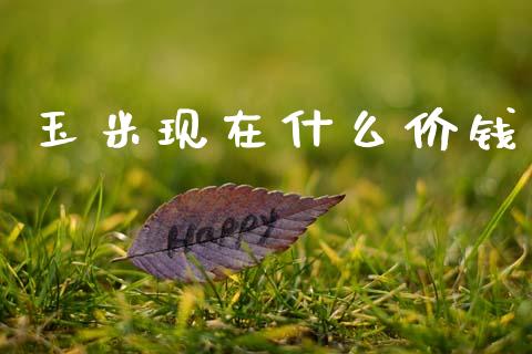 玉米现在什么价钱_https://wap.hpmsj.cn_基金分析_第1张