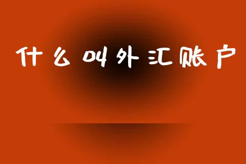 什么叫外汇账户_https://wap.hpmsj.cn_财经时评_第1张