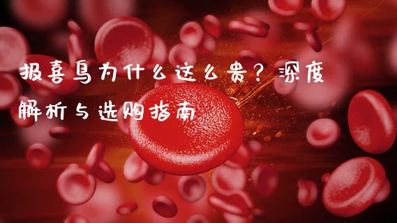 报喜鸟为什么这么贵？深度解析与选购指南_https://wap.hpmsj.cn_外汇汇率_第1张
