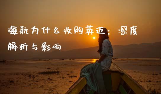 海航为什么收购英迈：深度解析与影响_https://wap.hpmsj.cn_外汇汇率_第1张