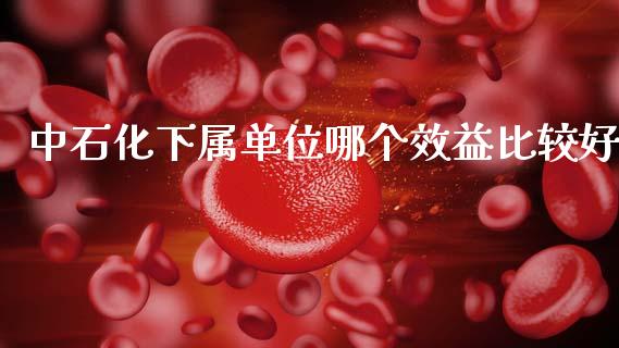 中石化下属单位哪个效益比较好_外汇汇率_第1张_财经时评_基金分析_期货交易_金融机构_外汇汇率_债券投资 中石化下属单位哪个效益比较好_https://wap.hpmsj.cn_外汇汇率_第1张