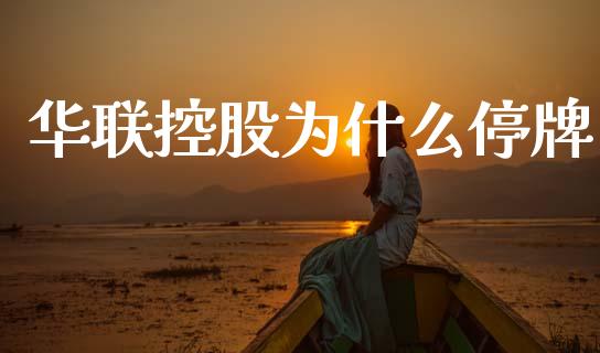 华联控股为什么停牌_https://wap.hpmsj.cn_基金分析_第1张