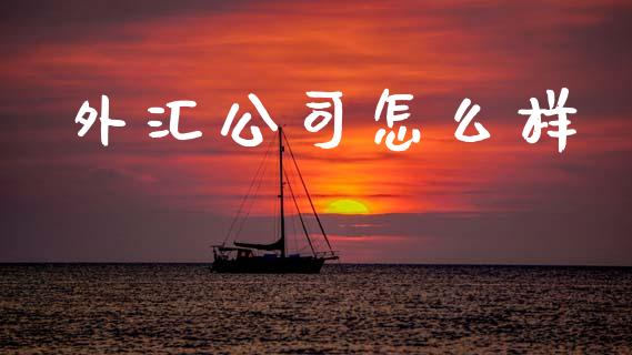 外汇公司怎么样_https://wap.hpmsj.cn_外汇汇率_第1张