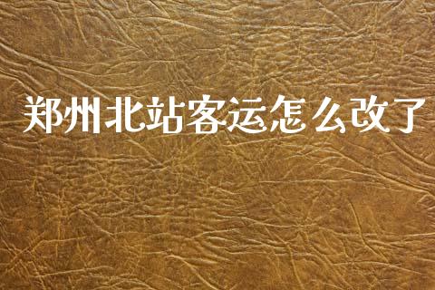 郑州北站客运怎么改了_https://wap.hpmsj.cn_外汇汇率_第1张